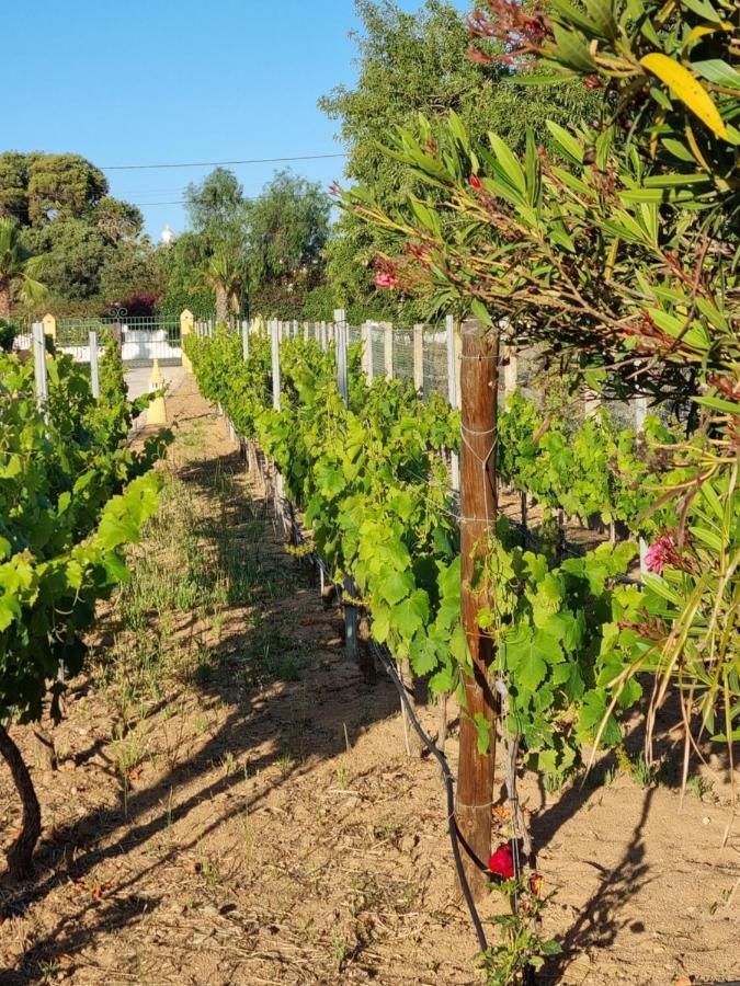 Casa Bela Moura, Boutique & Wine 4*