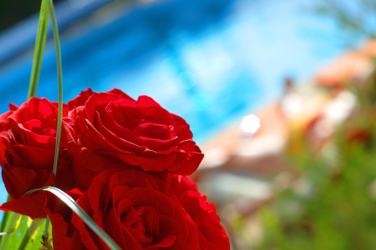 Casa Bela Moura, Boutique & Wine Hotel Porches (Algarve)